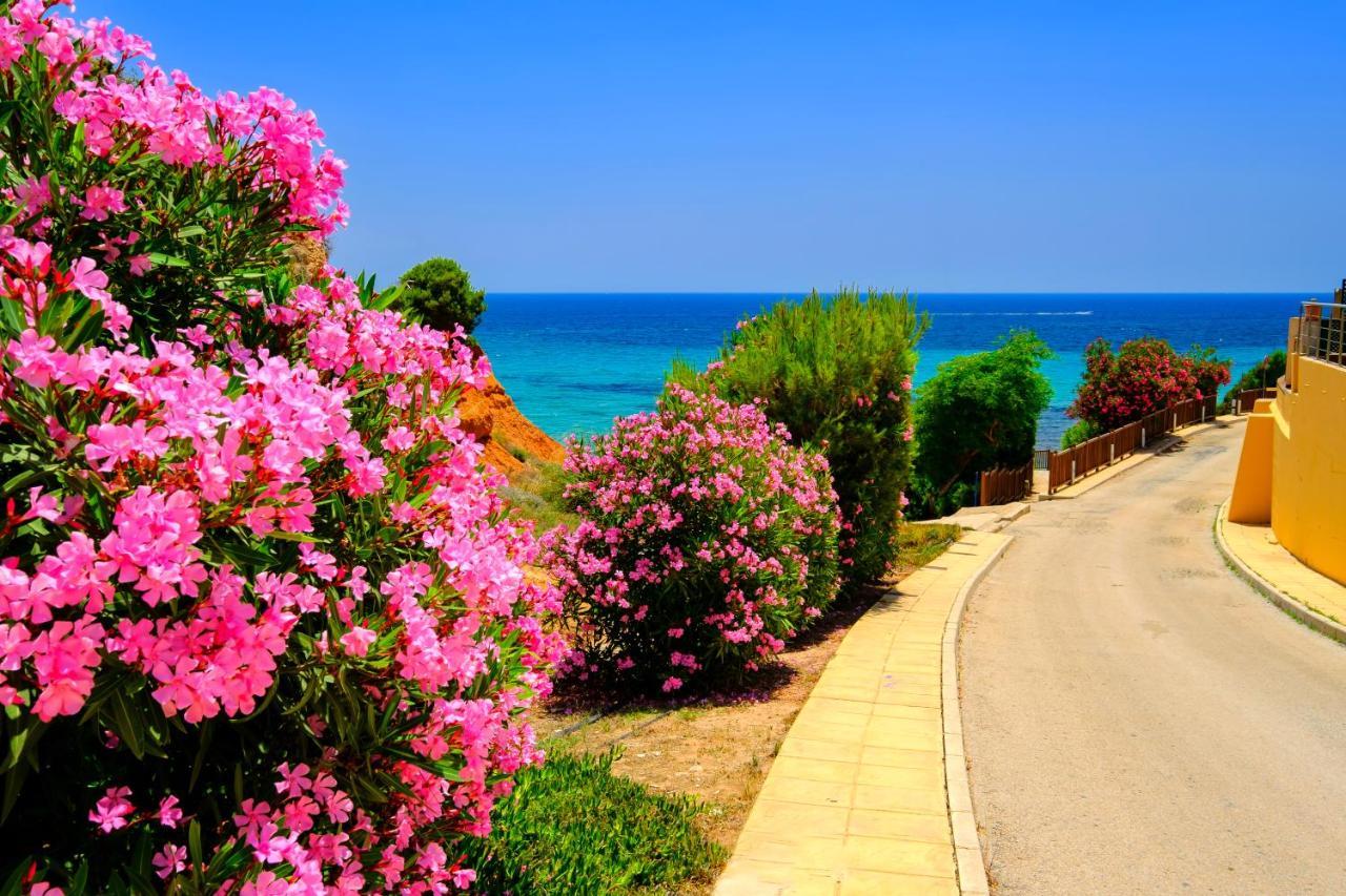 Mileniun Levante Dehesa de Campoamor  Buitenkant foto